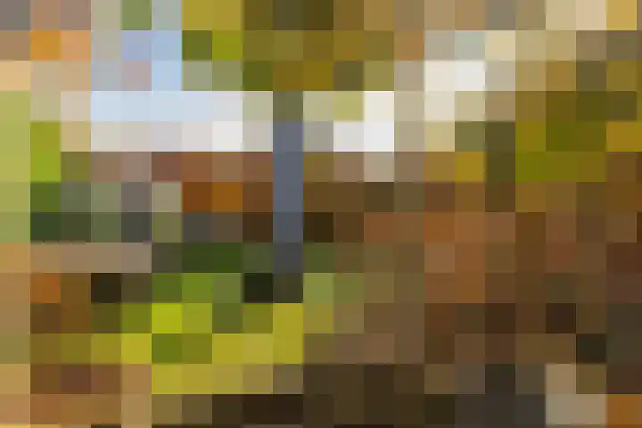 Houterend 57 Stein thumbnail 52