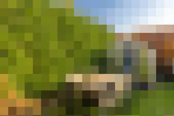 Houterend 57 Stein thumbnail 53