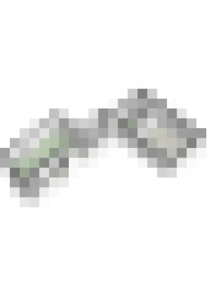 Houterend 57 Stein thumbnail 60