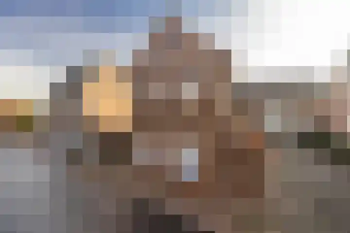 Houterend 57 Stein thumbnail 7