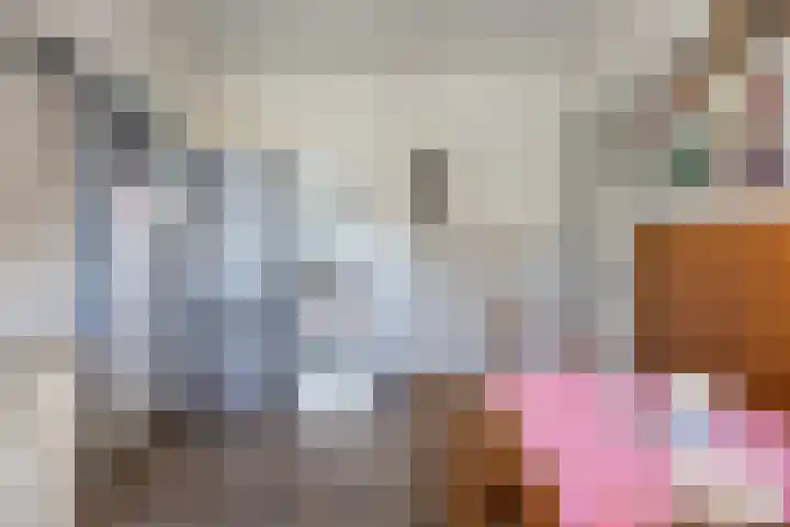 Houterend 74 Stein thumbnail 15