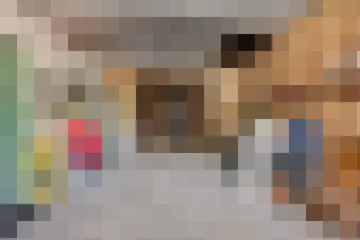 Houterend 74 Stein thumbnail 20