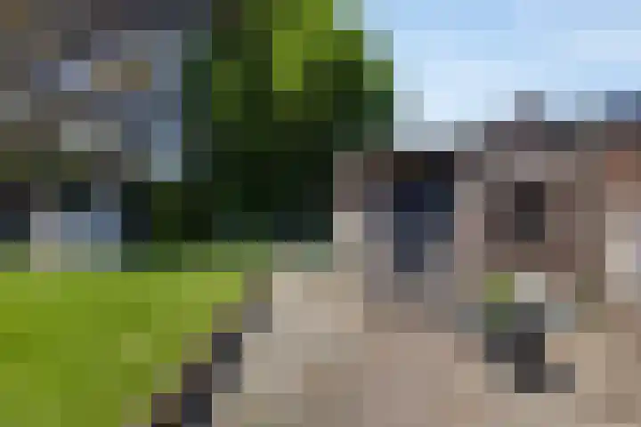 Houterend 74 Stein thumbnail 24