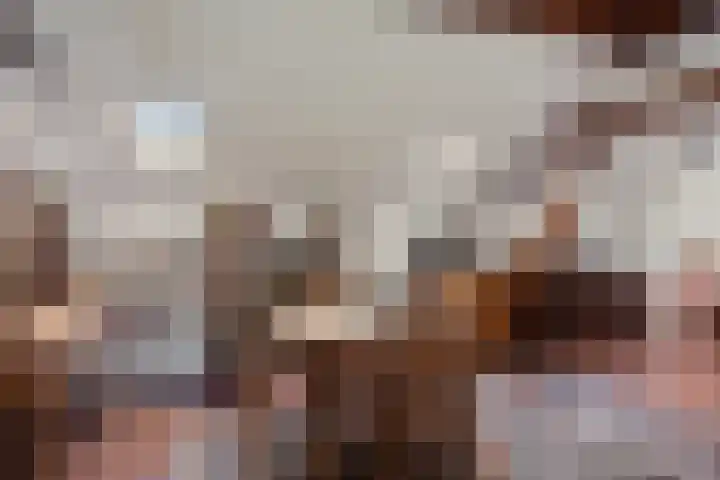 Houterend 74 Stein thumbnail 6
