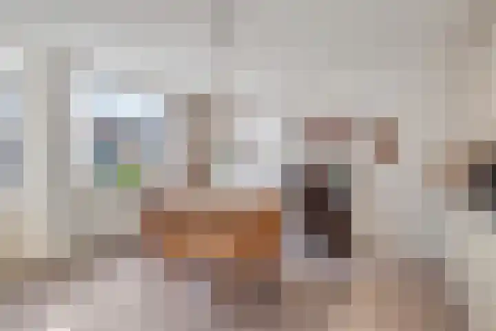 Houtersweg 70 Nunspeet thumbnail 15