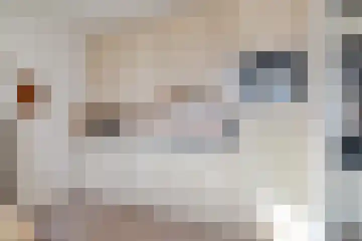 Houtersweg 70 Nunspeet foto 3