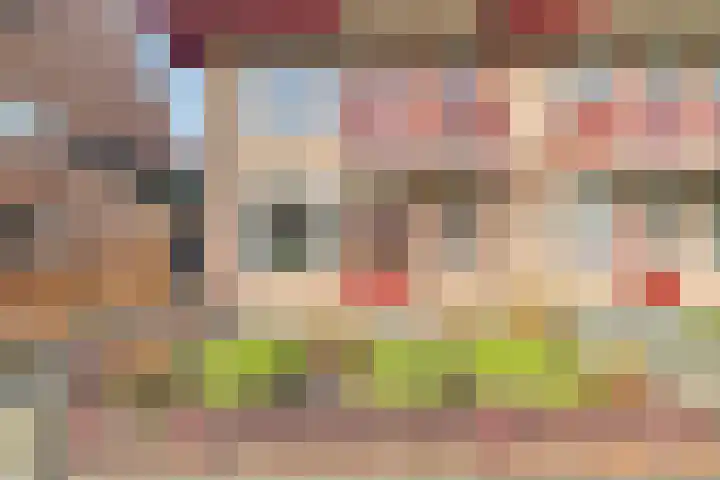 Houtersweg 70 Nunspeet thumbnail 4