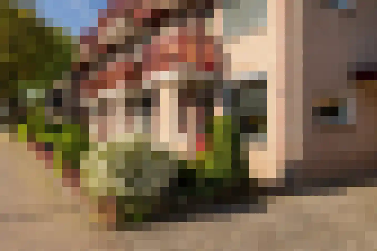 Houtersweg 74 Nunspeet thumbnail 25