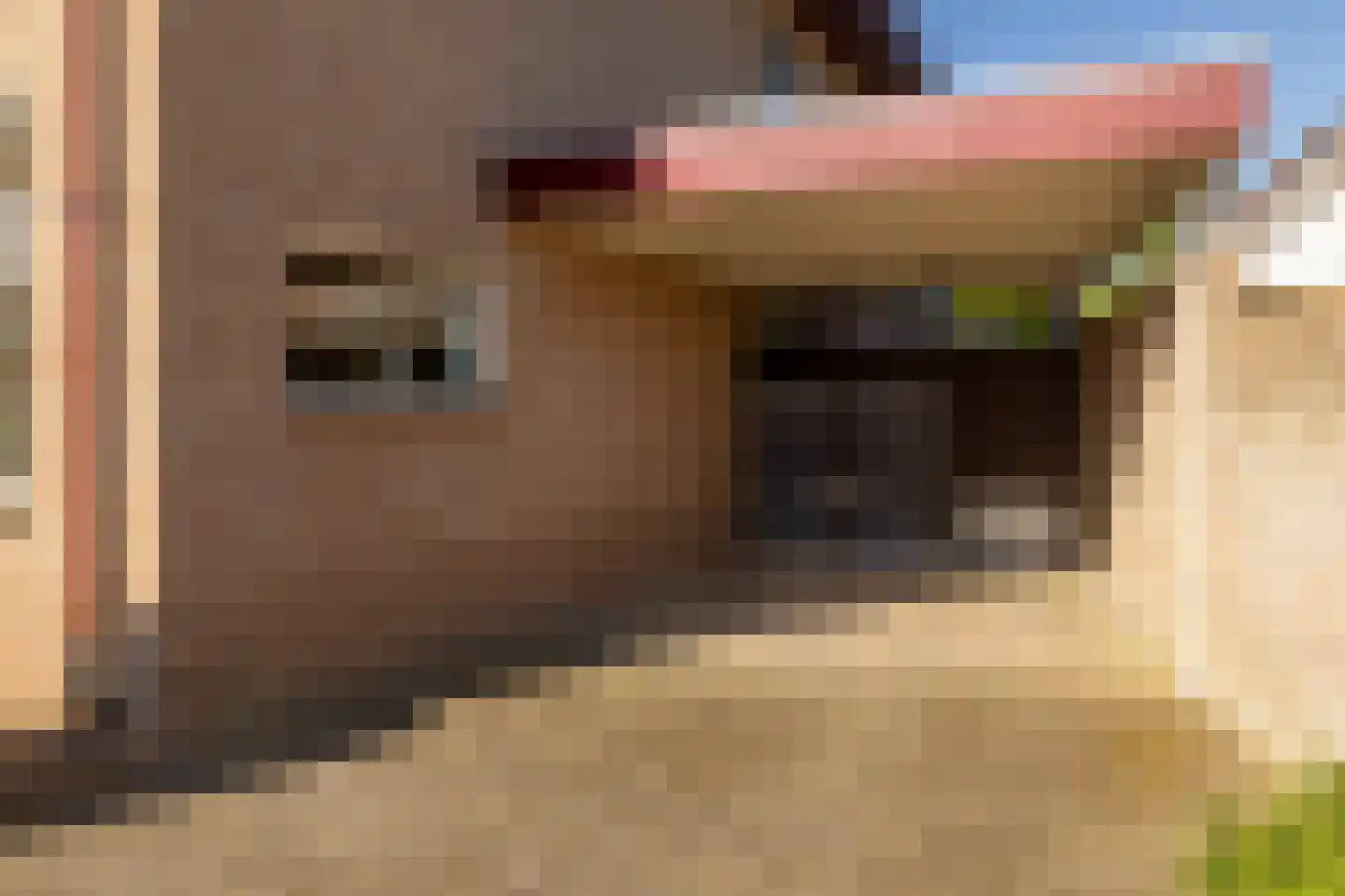 Houtersweg 74 Nunspeet thumbnail 26