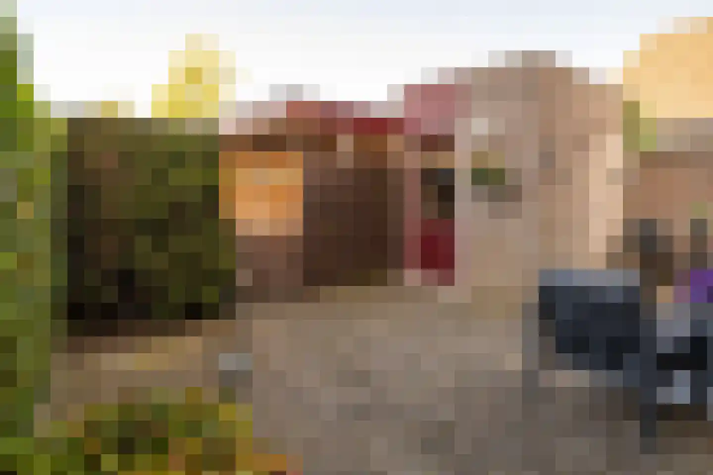 Houtersweg 74 Nunspeet thumbnail 29