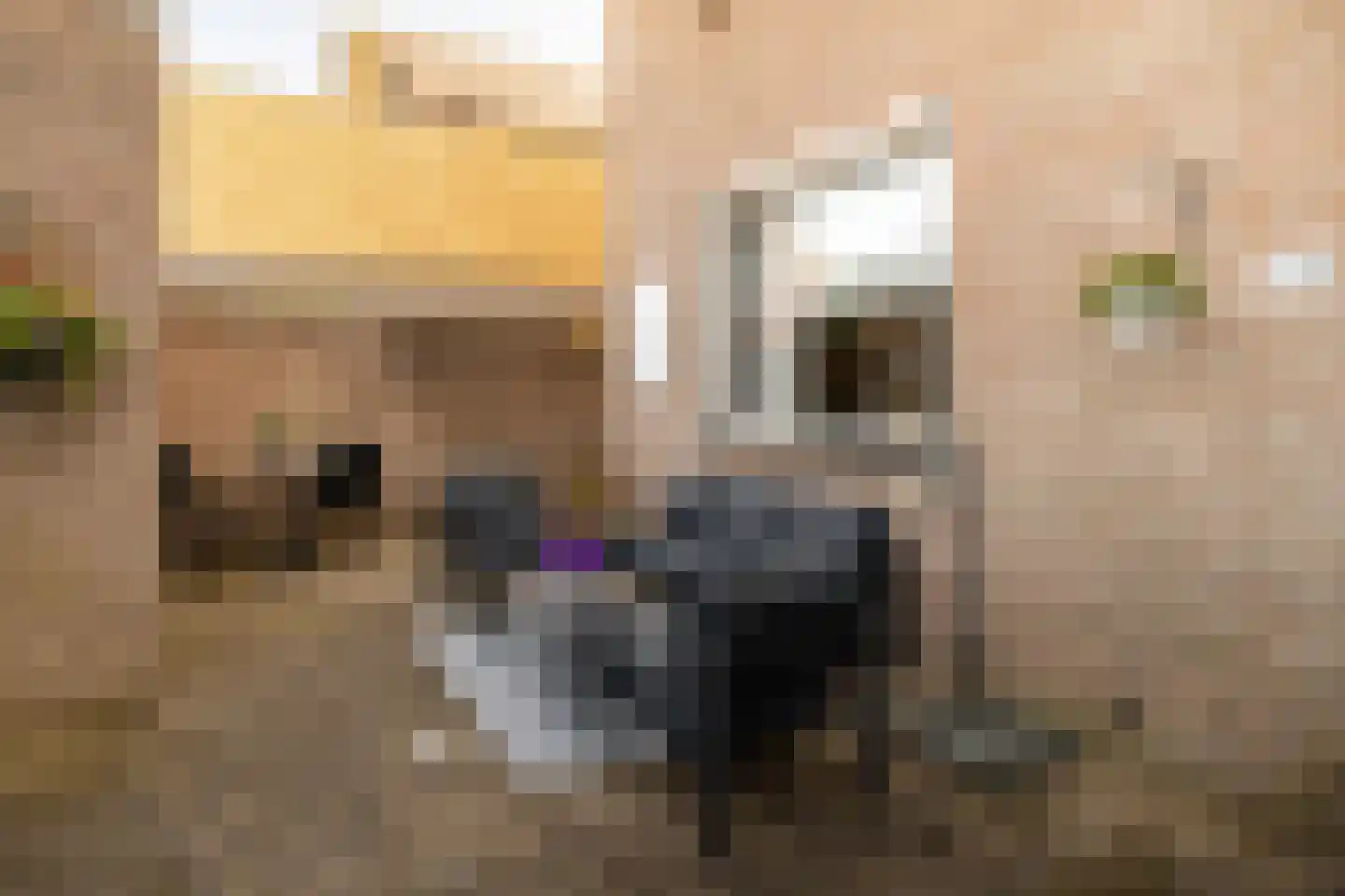 Houtersweg 74 Nunspeet thumbnail 30