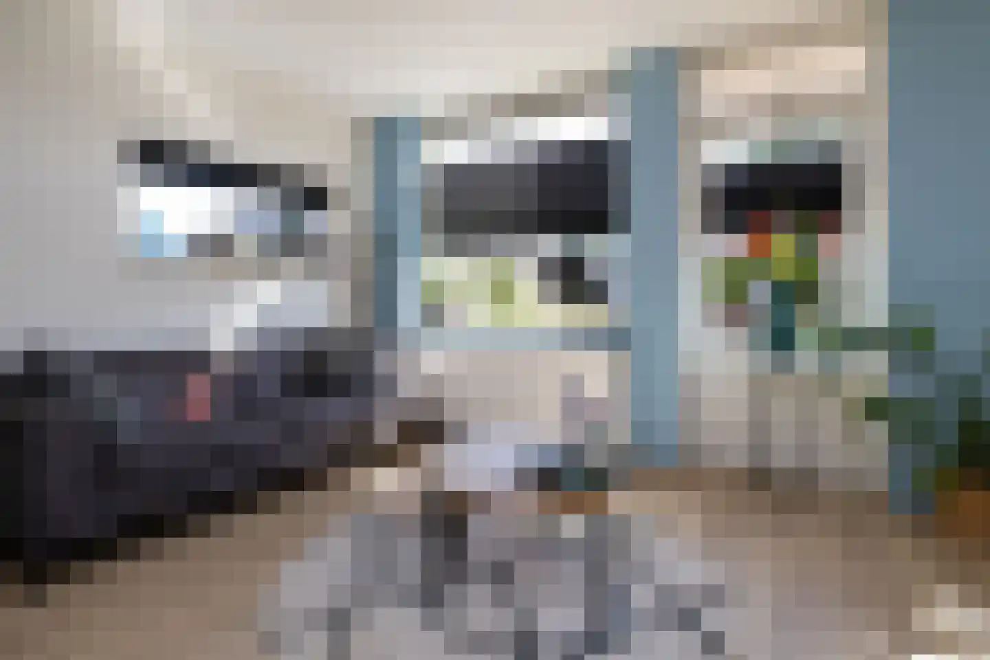 Houtersweg 74 Nunspeet thumbnail 5