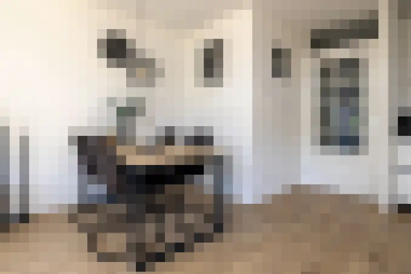 Houtersweg 74 Nunspeet thumbnail 8