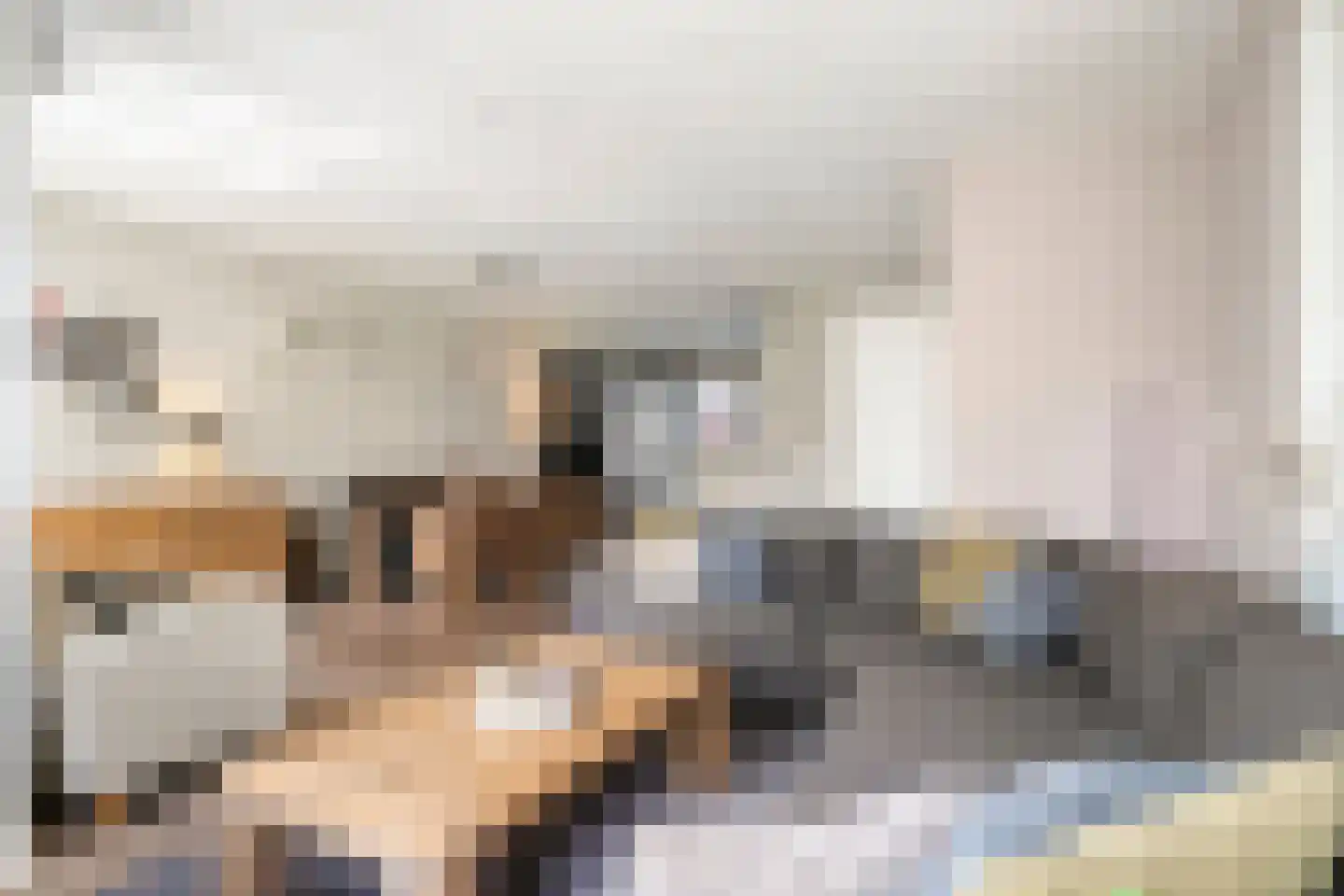 Houtert 18 Gemert thumbnail 13