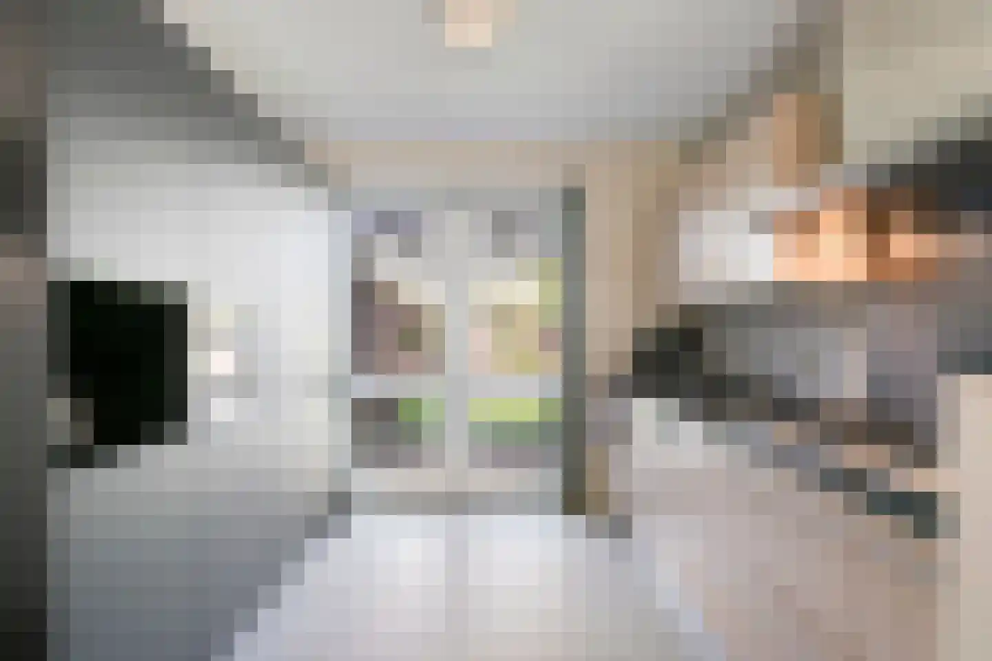 Houtert 18 Gemert thumbnail 16