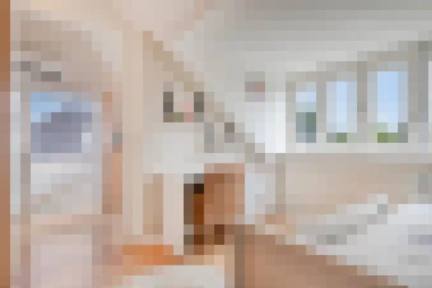 Houtert 18 Gemert thumbnail 32