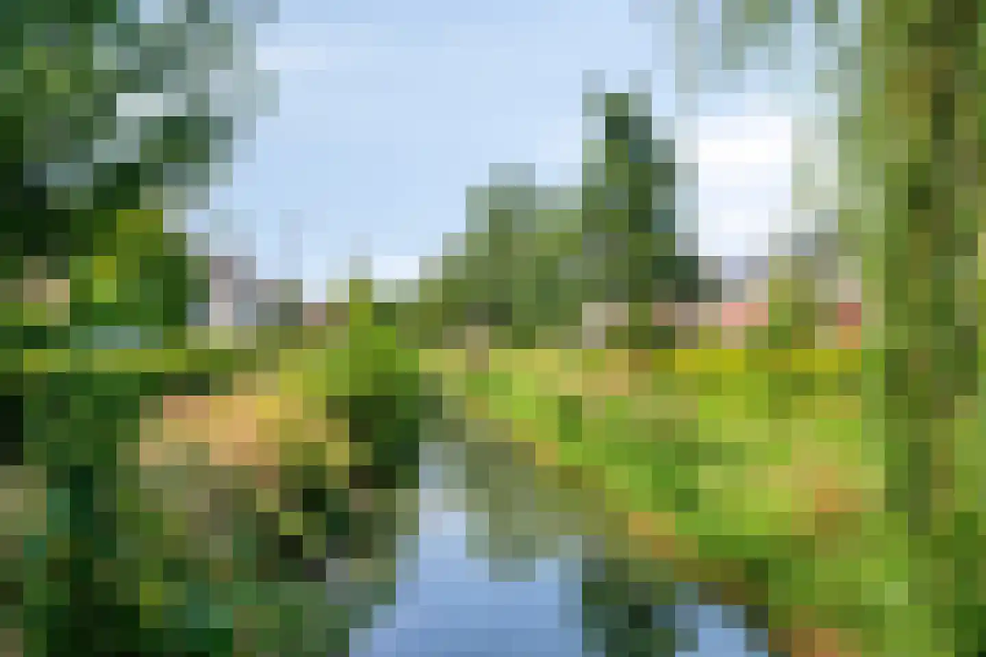 Houtert 18 Gemert thumbnail 37