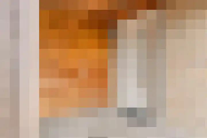 Houtert 7 Gemert thumbnail 11