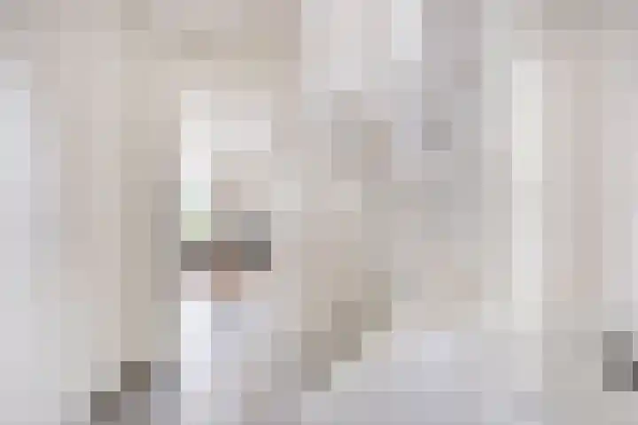 Houtert 7 Gemert thumbnail 14
