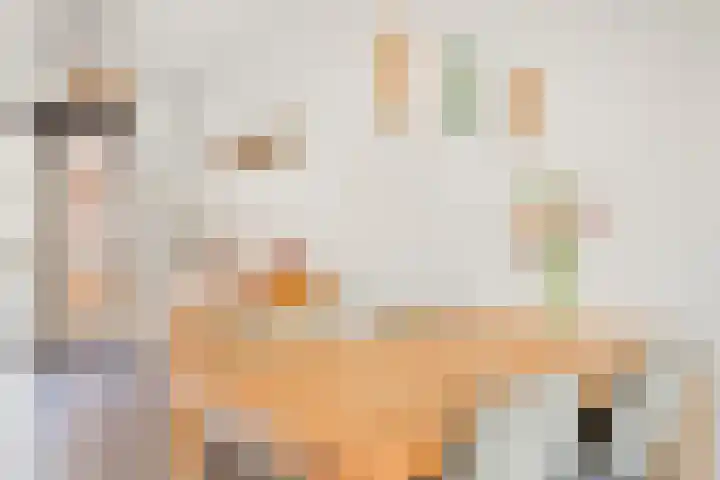 Houtert 7 Gemert thumbnail 19