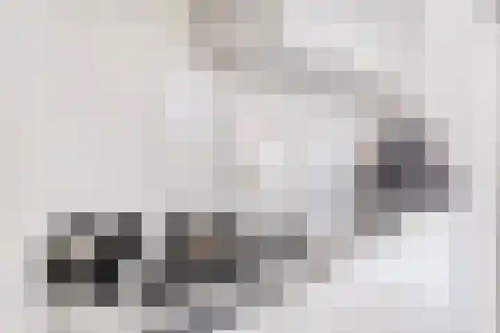 Houtert 7 Gemert thumbnail 22