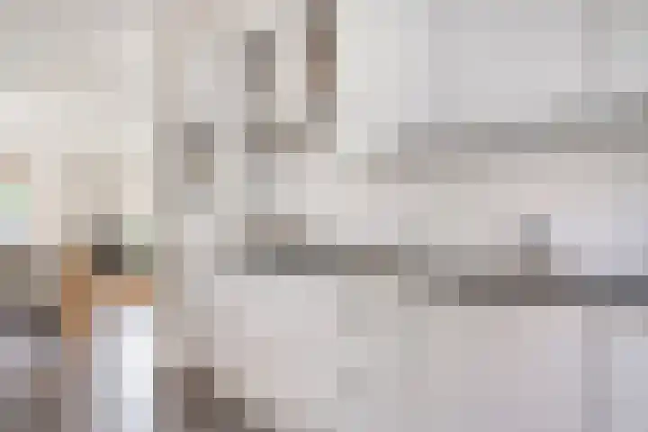 Houtert 7 Gemert thumbnail 24