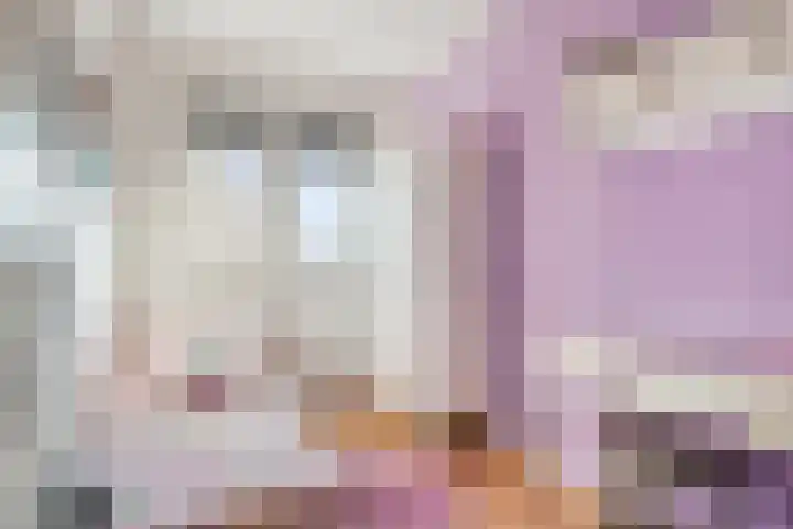 Houtert 7 Gemert thumbnail 30
