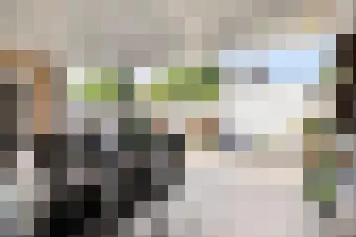 Houtert 7 Gemert thumbnail 37