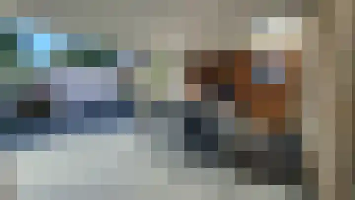 Houtert 7 Gemert thumbnail 43
