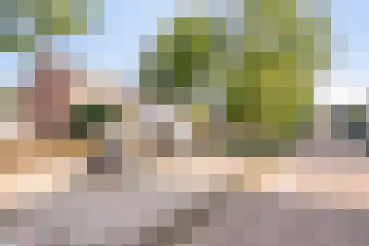Houtert 7 Gemert thumbnail 46