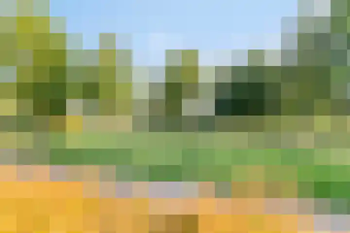 Houtert 7 Gemert thumbnail 47