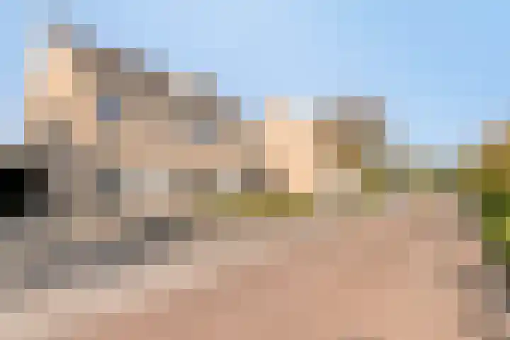 Houtert 7 Gemert thumbnail 8