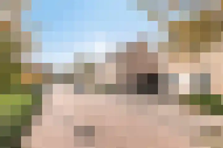 Houtert 7 Gemert thumbnail 9