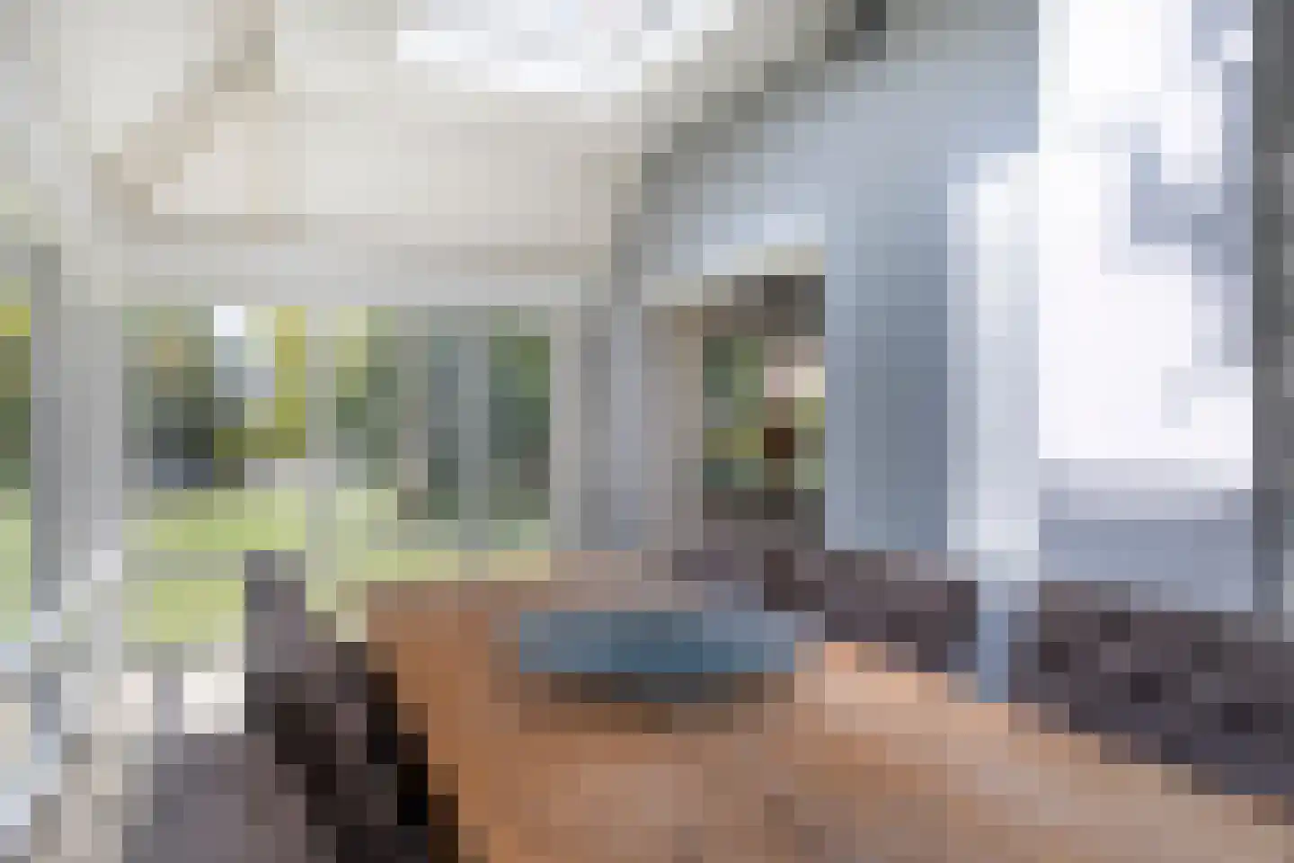 Houterweg 51 Hem thumbnail 13