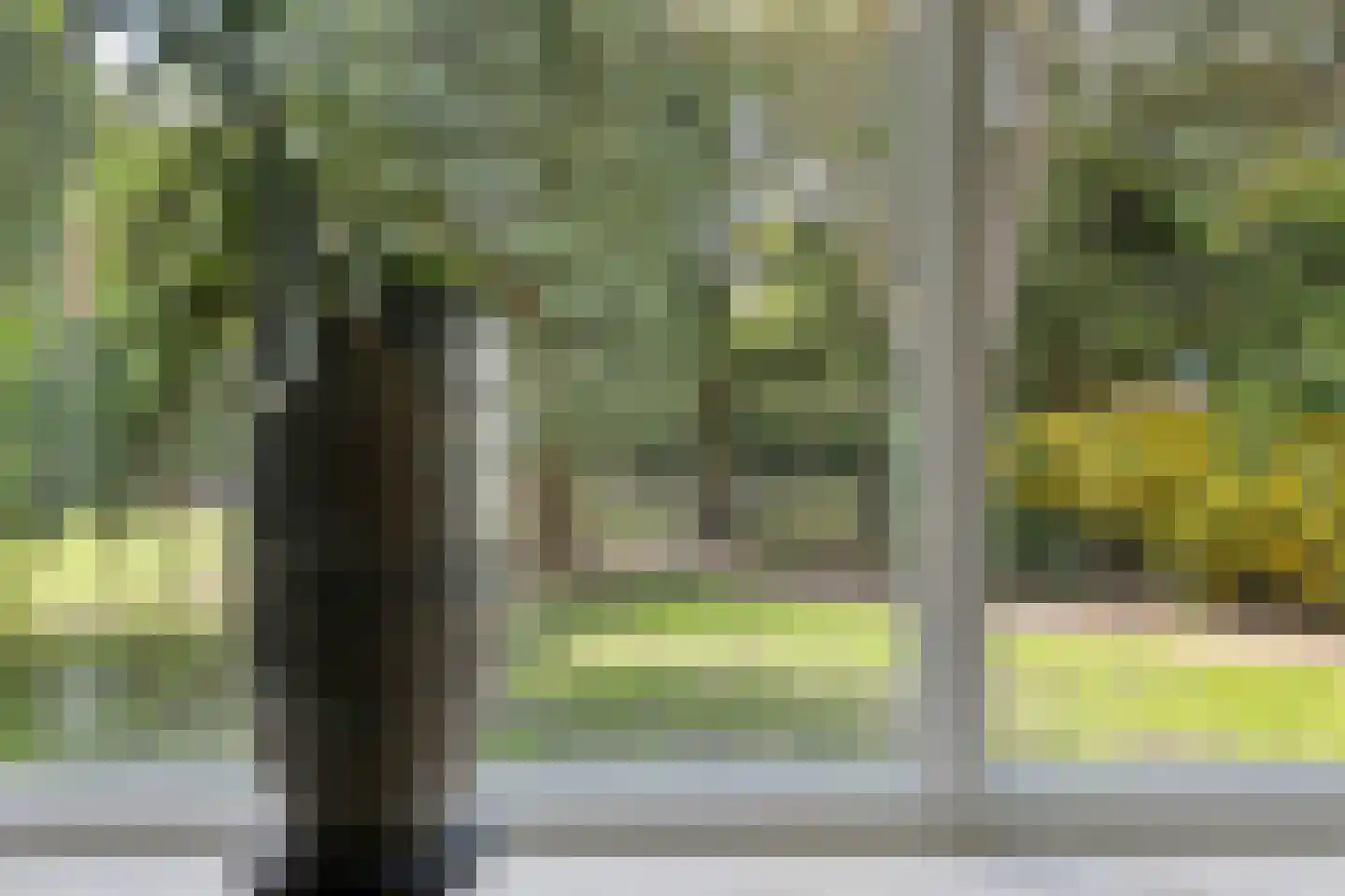Houterweg 51 Hem thumbnail 15