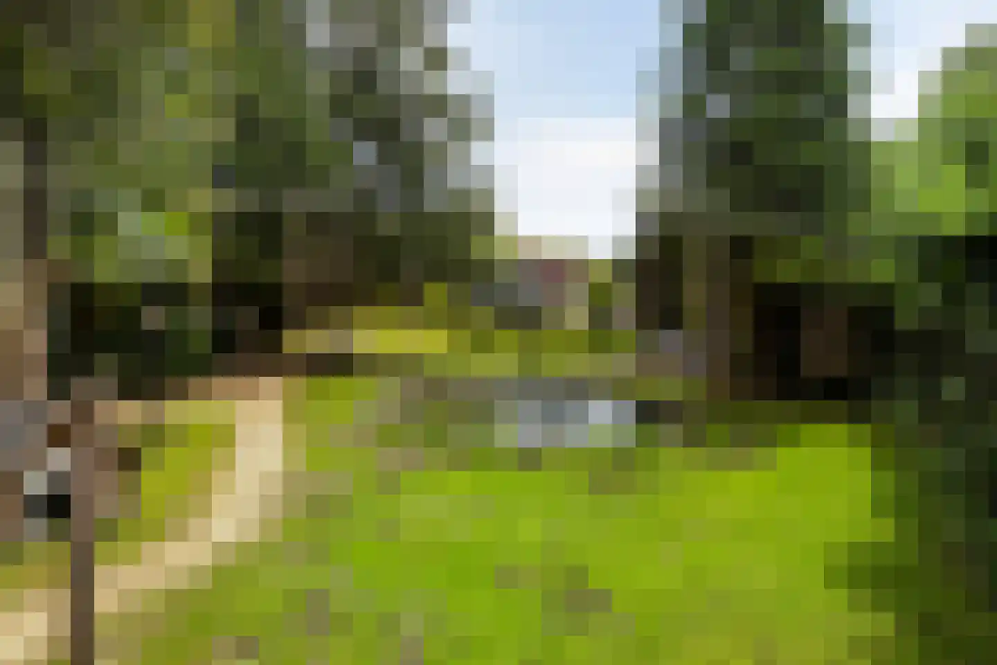 Houterweg 51 Hem thumbnail 35