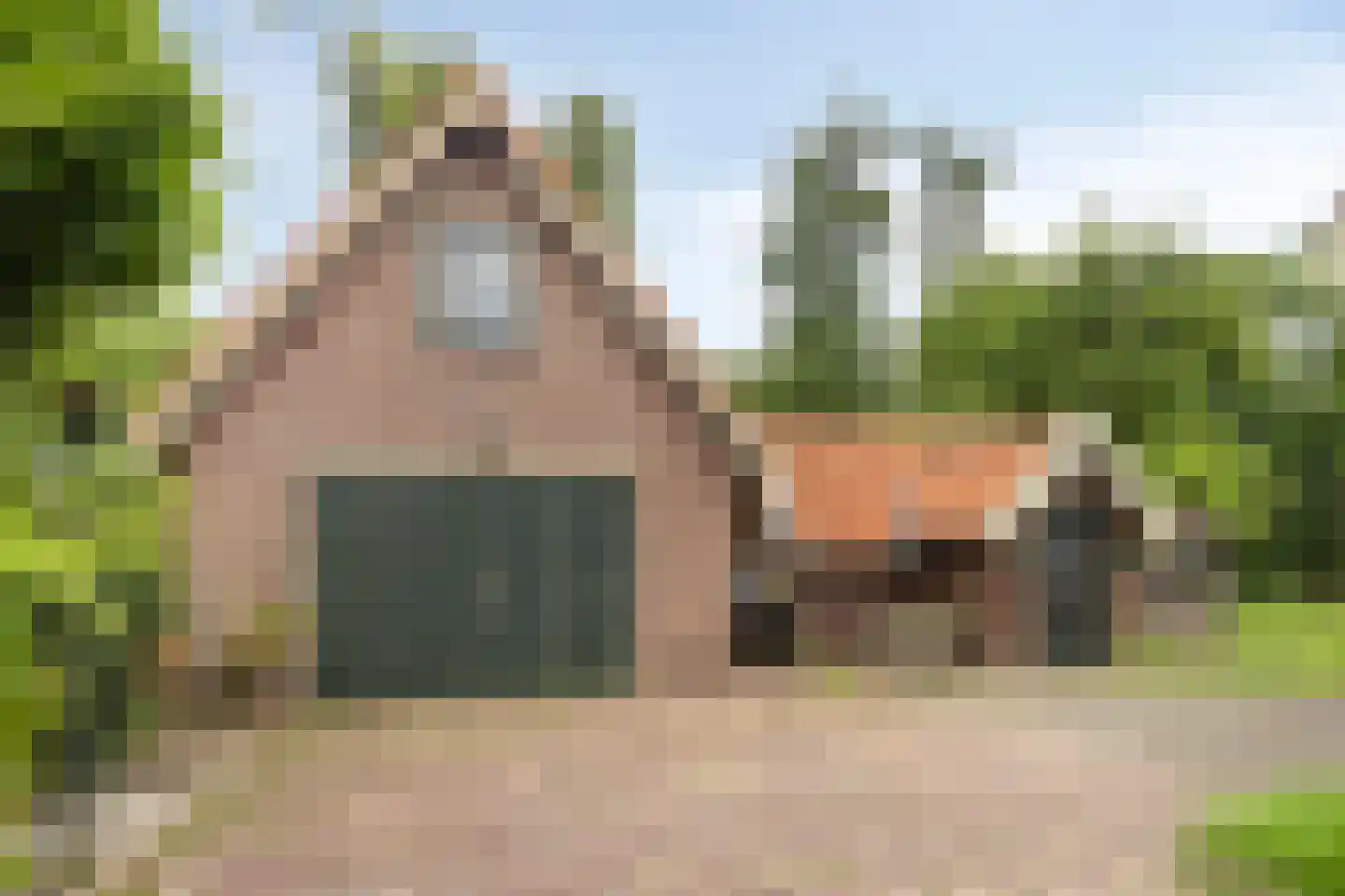 Houterweg 51 Hem thumbnail 39
