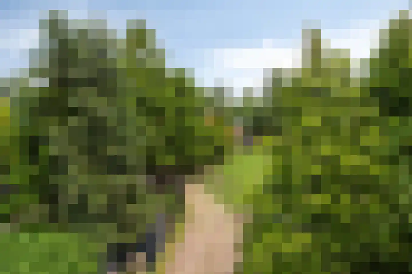 Houterweg 51 Hem thumbnail 44
