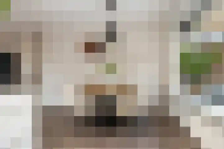 Houthakkersweg 3 Wezep thumbnail 10