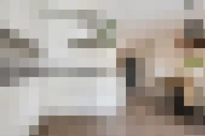 Houthakkersweg 3 Wezep thumbnail 11