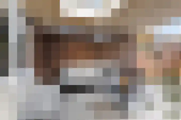 Houthakkersweg 3 Wezep thumbnail 29