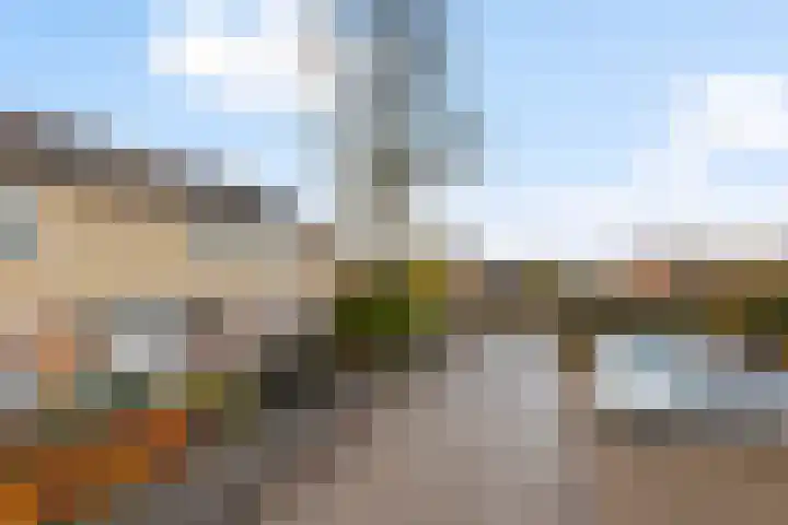 Houthakkersweg 3 Wezep foto 3