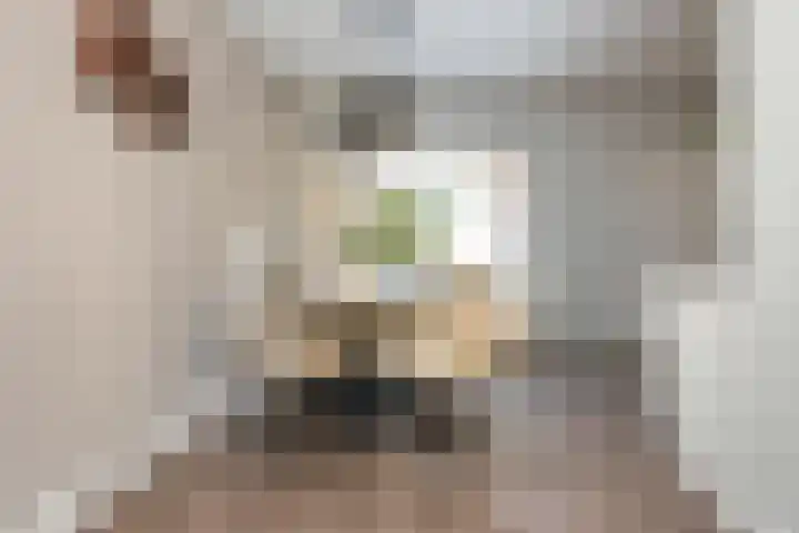 Houthakkersweg 3 Wezep thumbnail 9