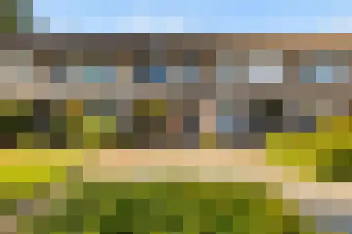 Houthakkersweg 97 in Wezep