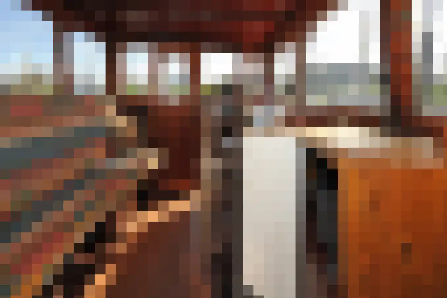Houthaven 16 Zutphen thumbnail 31