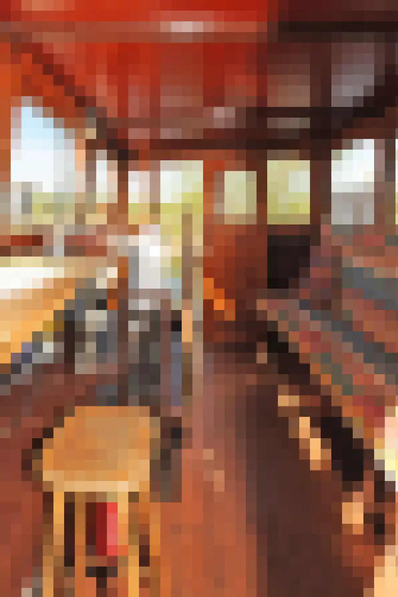 Houthaven 16 Zutphen thumbnail 33