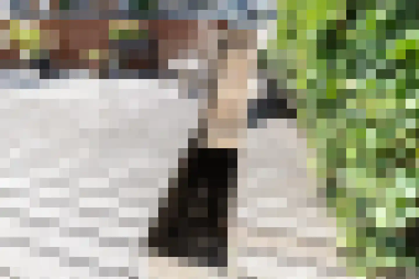 Houthaven 29 Papendrecht thumbnail 12