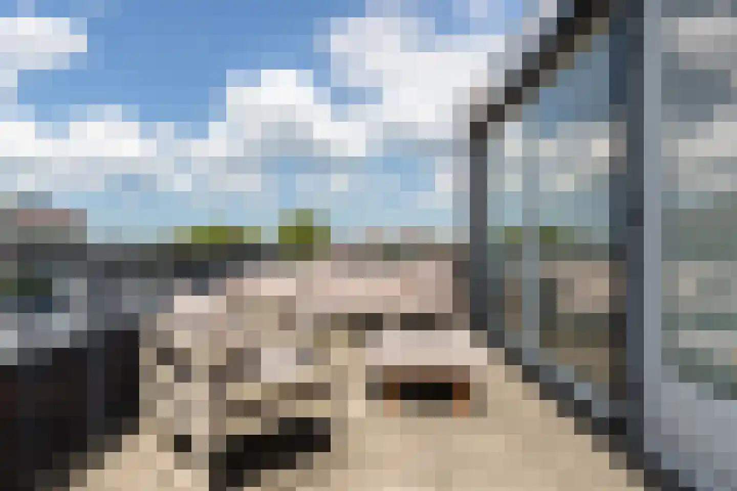 Houthaven 29 Papendrecht thumbnail 36