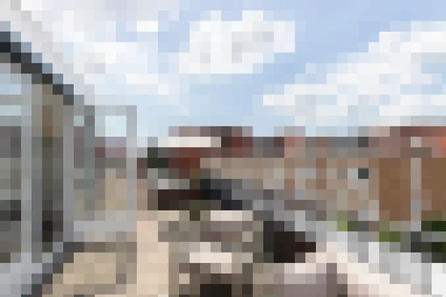 Houthaven 29 Papendrecht thumbnail 37