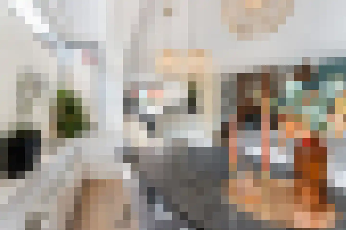 Houthaven 6 Papendrecht thumbnail 9